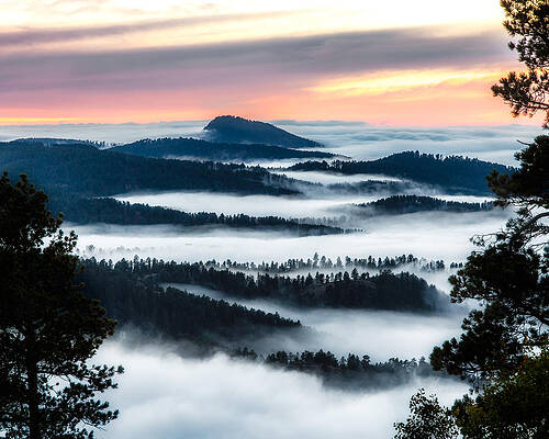 At the Top of the World by David Wynia