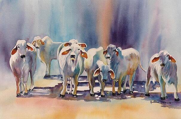 Attention all Ears. Brahman Bulls by Roxanne Tobaison Attention all Ears. Brahman Bulls by Roxanne Tobaison