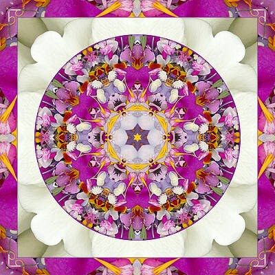 Aura of Joy by Bell And Todd Aura of Joy by Bell And Todd