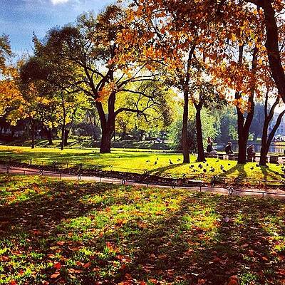 Automn sun by Sophia Rishkiene