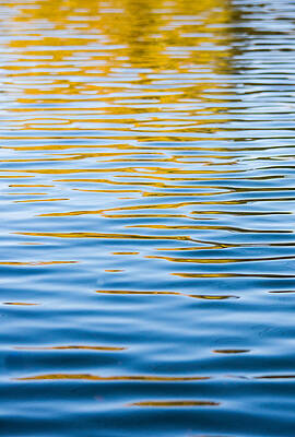 Wall Art - Photograph - Autumn Abstract by Parker Cunningham