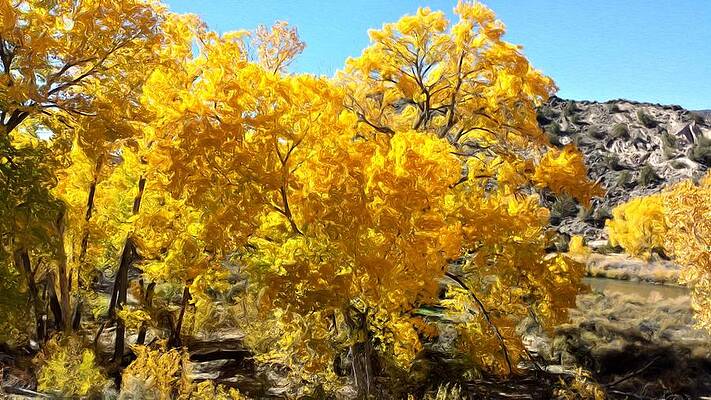 Autumn Color by Jim Buchanan Autumn Color by Jim Buchanan
