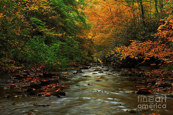 Autumn Creek by Melissa Petrey Autumn Creek by Melissa Petrey