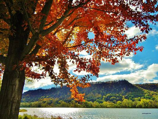 Autumn in Minnesota by Susie Loechler Autumn in Minnesota by Susie Loechler