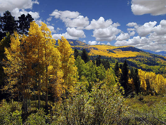 Autumn in New Mexico by Kurt Van Wagner Autumn in New Mexico by Kurt Van Wagner