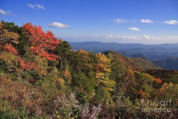 Wall Art - Photograph - Autumn in the Mountains by Jill Lang