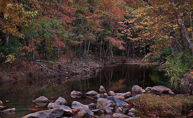 Wall Art - Photograph - Autumn Leaves Reflecting In the Stream by Todd Aaron