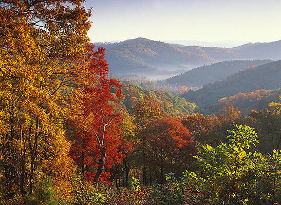 Wall Art - Photograph - Autumn On Blue Ridge Range Near Jumping by Tim Fitzharris