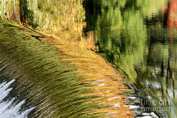 Autumn Reflections 2 by Ilene Hoffman Autumn Reflections 2 by Ilene Hoffman