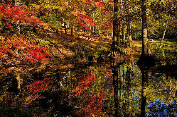 Autumn Reflections by Michael Whitaker Autumn Reflections by Michael Whitaker