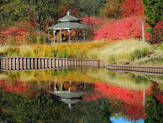 Autumn Reflections by Teresa Schomig Autumn Reflections by Teresa Schomig