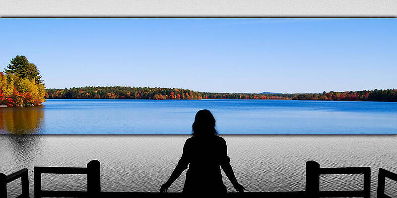 Autumn Sillouette by Sandy Scharmer Autumn Sillouette by Sandy Scharmer