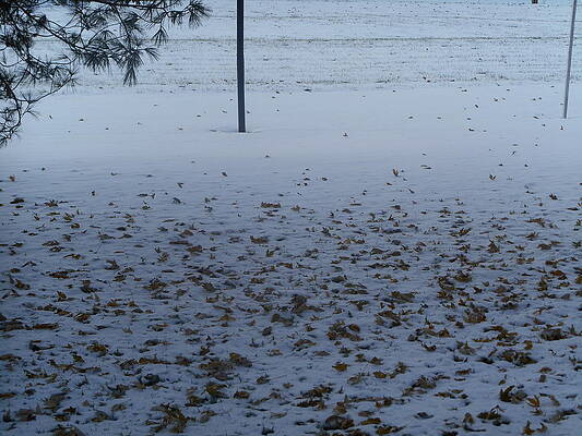Autumn Snow by Shea Holliman Autumn Snow by Shea Holliman