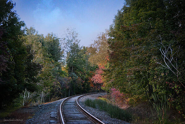 Autumn Tracks In Pennsylvania by Lena Wilhite Autumn Tracks In Pennsylvania by Lena Wilhite
