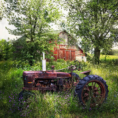 Wall Art - Photograph - Back to Nature by Debra and Dave Vanderlaan