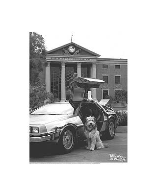 Graphic Wall Art featuring the digital art Back To The Future II - Einstein by Brand A