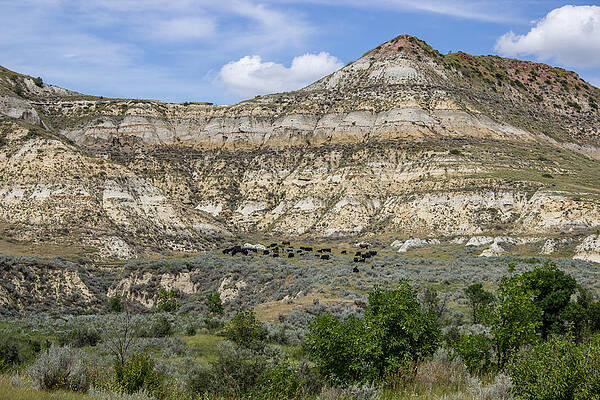 Wall Art - Photograph - Badlands 42 by Chad Rowe