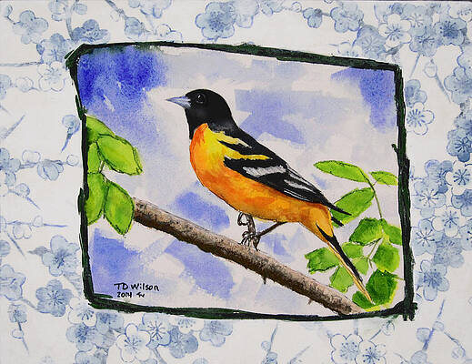 Baltimore Oriole - Jaggy Border by TD Wilson Baltimore Oriole - Jaggy Border by TD Wilson