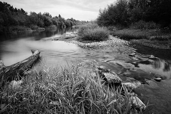 Bambi's playground by Davorin Mance Bambi's playground by Davorin Mance