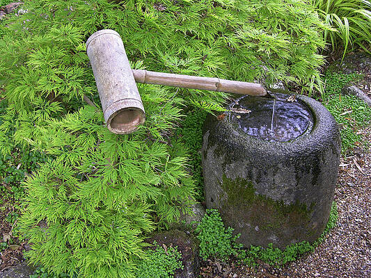 Wall Art - Photograph - Bamboo Water Feature by Science Photo Library