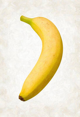 Patricia Pinto Tropic Banana I Keilrahmen-Bild Leinwand Bananen-Baum Tropen 