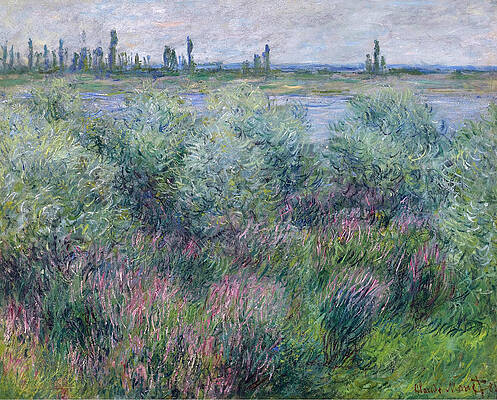 Banks of the Seine at Vetheuil Print by Claude Monet