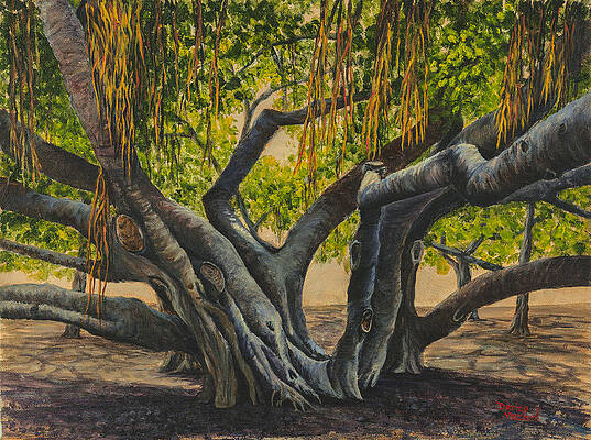 Banyan Tree Paintings - Fine Art America