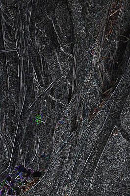 Banyon Tree Abstract by Sarah McKoy Banyon Tree Abstract by Sarah McKoy