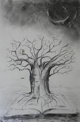 Baobab the container by Ilona Petzer Baobab the container by Ilona Petzer