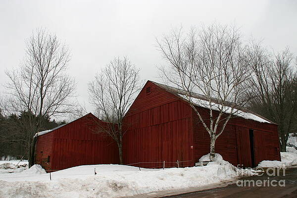 Barn by John Tilton