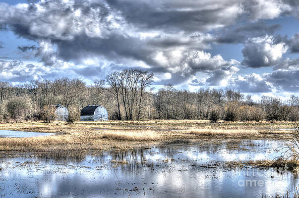 Barns on the Delta 1 by Sarah Schroder Barns on the Delta 1 by Sarah Schroder