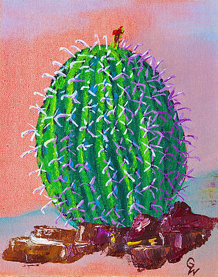 Barrel Cactus by Greg Wells Barrel Cactus by Greg Wells