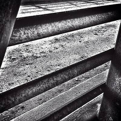 Wall Art - Photograph - Bars --- Check Out More Of My by Mark David Gerson