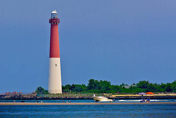 Wall Art - Photograph - Basking On The Sandbar by Mark Miller