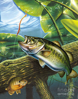 Bass Fishing Paintings for Sale - Fine Art America