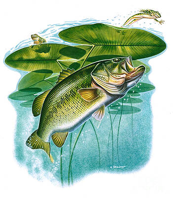 Fishing Frog Paintings for Sale - Fine Art America