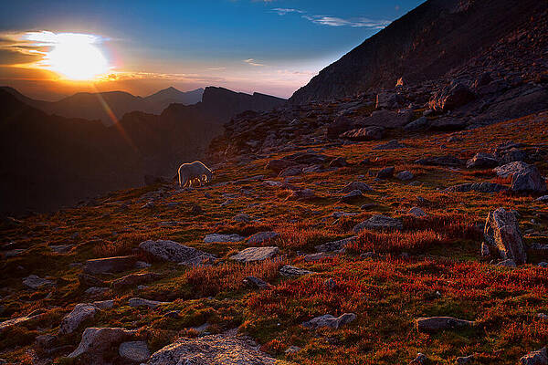 Bathing in Last Light by Jim Garrison Bathing in Last Light by Jim Garrison