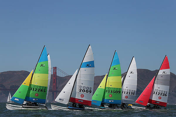 Hobie Cat Art Fine Art America