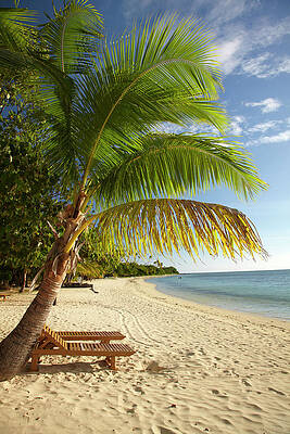 Wall Art - Photograph - Beach And Palm Trees, Plantation Island by David Wall