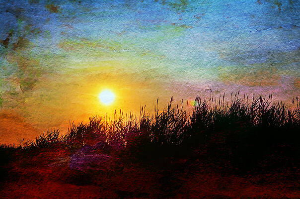 Wall Art - Photograph - Beach Dune Sunset by Laura Fasulo