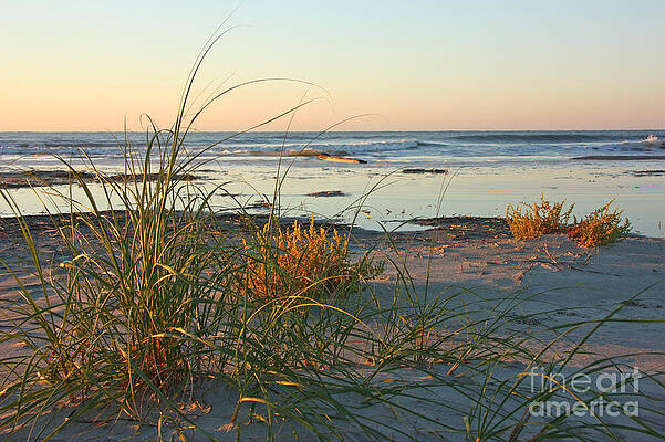 Beach Morning by Kevin McCarthy Beach Morning by Kevin McCarthy