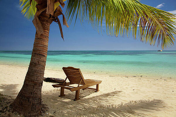 Wall Art - Photograph - Beach, Palm Trees And Lounger by David Wall