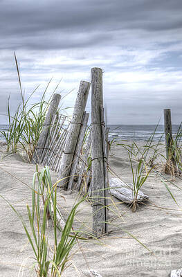 Beach Path by Sarah Schroder Beach Path by Sarah Schroder