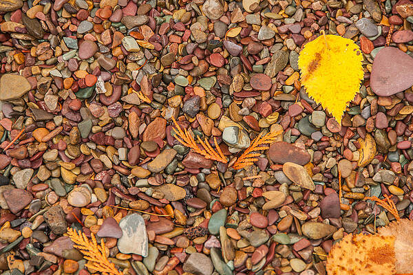 Wall Art - Photograph - Beach Pebbles of Montana by Brenda Jacobs
