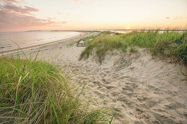 Wall Art - Photograph - Beach With Sand Dunes At Sunset by Matt Andrew
