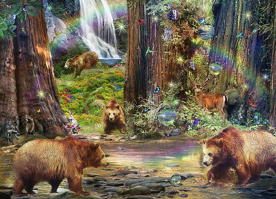 Magic Forest Drawings Fine Art America Magic Forest Drawings Fine Art America