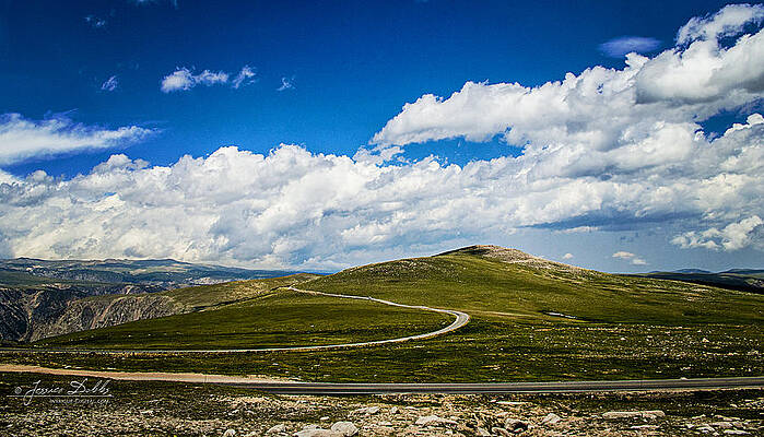 Bear Tooth Pass by Jessica Dobbs