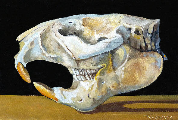 Animal Skeleton Paintings - Fine Art America