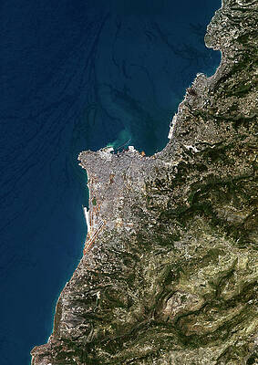 Wall Art - Photograph - Beirut by Science Photo Library