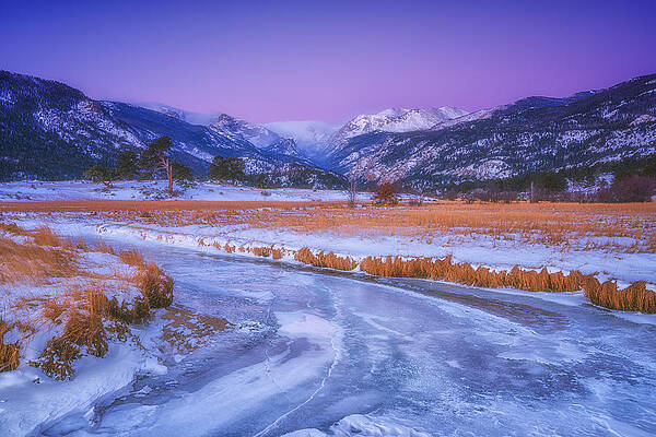 Wall Art - Photograph - Belt of Venus RMNP by Darren White
